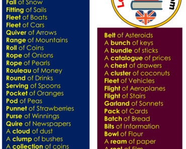 Collective Nouns Archives Lessons For English