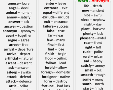Common Antonym Words List