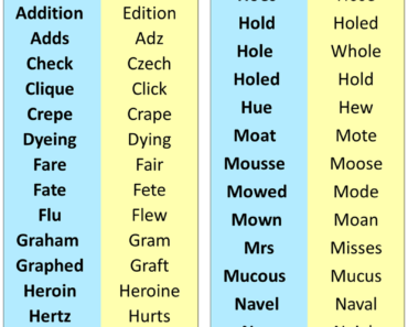 Homonym Words, Examples of Homonyms in English