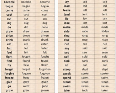 English V1 V2 V3 Verbs List