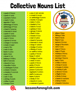 +60 Collective Nouns List in English - Lessons For English