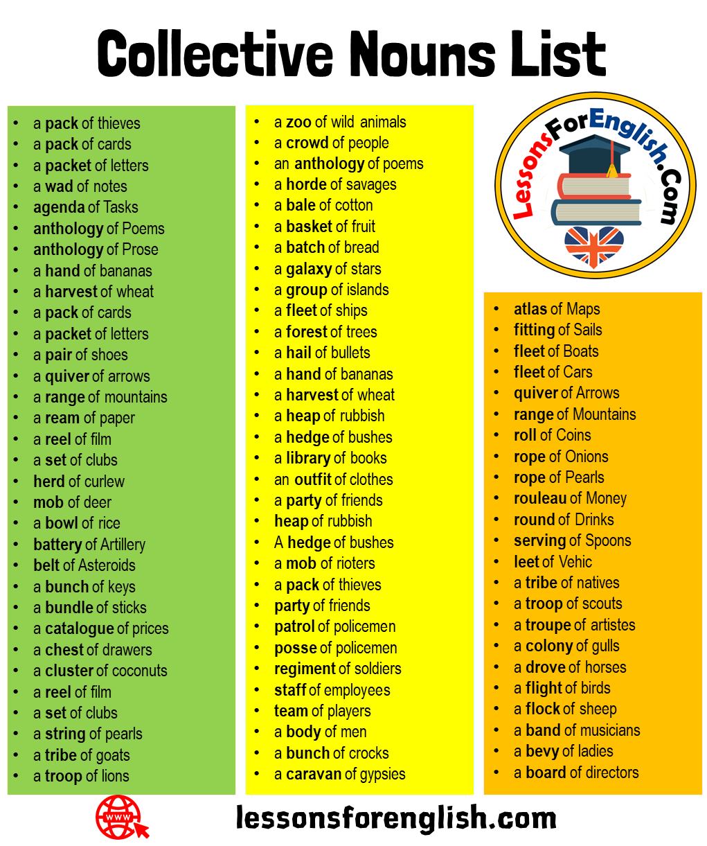 60 Collective Nouns List in English - Lessons For English