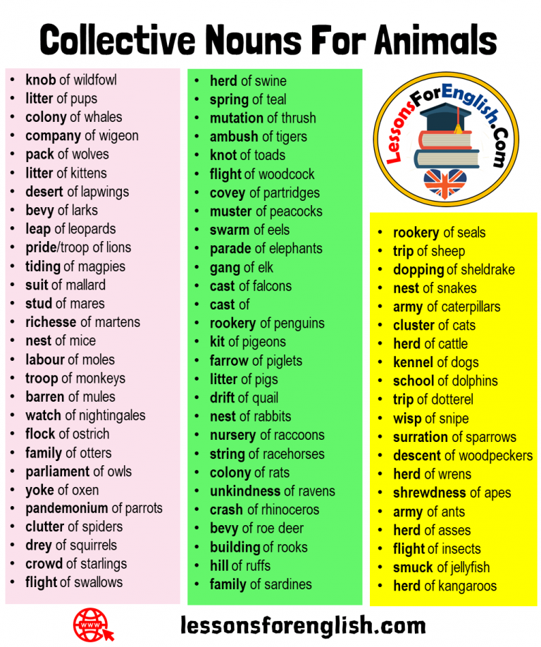 sentence diagram collective nouns for animals