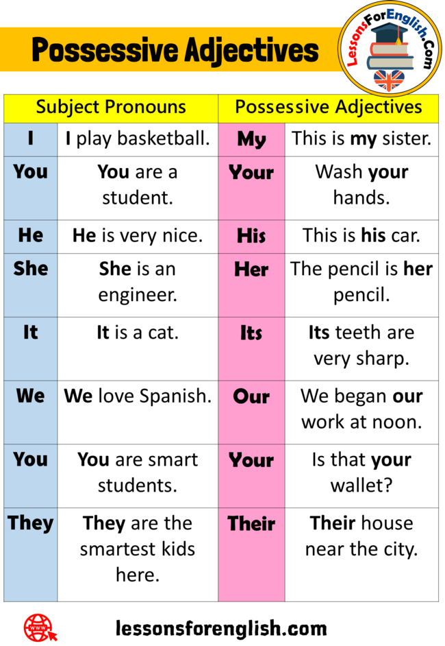 8 Possessive Adjectives And Example Sentences Lessons For English