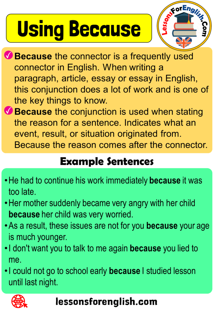 Uses Because in English, 5 Example Sentences with Because