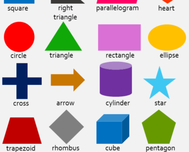 Sided polygon 7 Polygon Shapes: