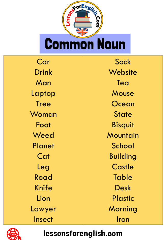 5 Examples Of Common Noun