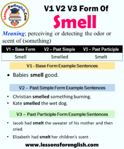 Past Tense Of Smell, Past Participle Form Of Smell, Smell Smelled Smelt ...