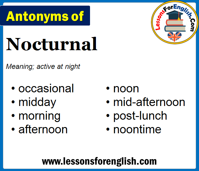 antonyms-of-nocturnal-opposite-of-nocturnal-in-english-lessons-for